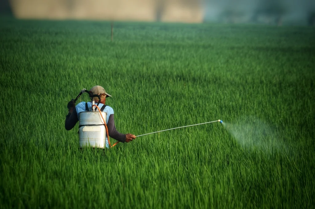 Loi Duplomb : autorisation controversée des pesticides et enjeux sanitaires