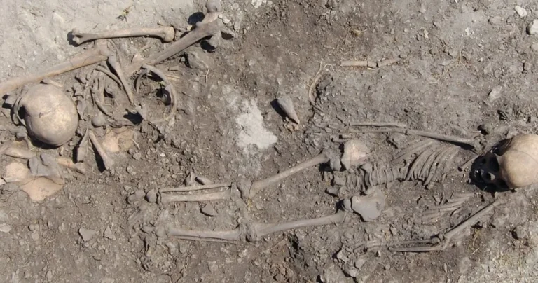 Suède : ADN révèle une fille enterrée avec son père à Gotland