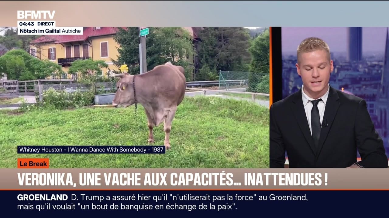 Bandeau break du jeudi 22 janvier