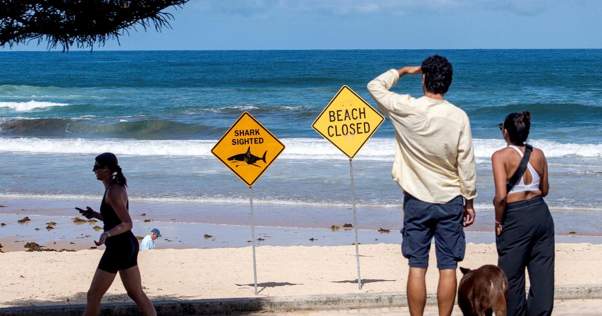 Vue d'une plage près de Sydney après l'attaque de requin