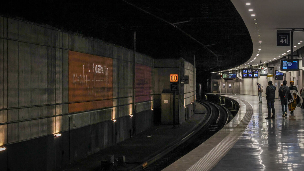 Perturbations des lignes RER B et D à Gare du Nord
