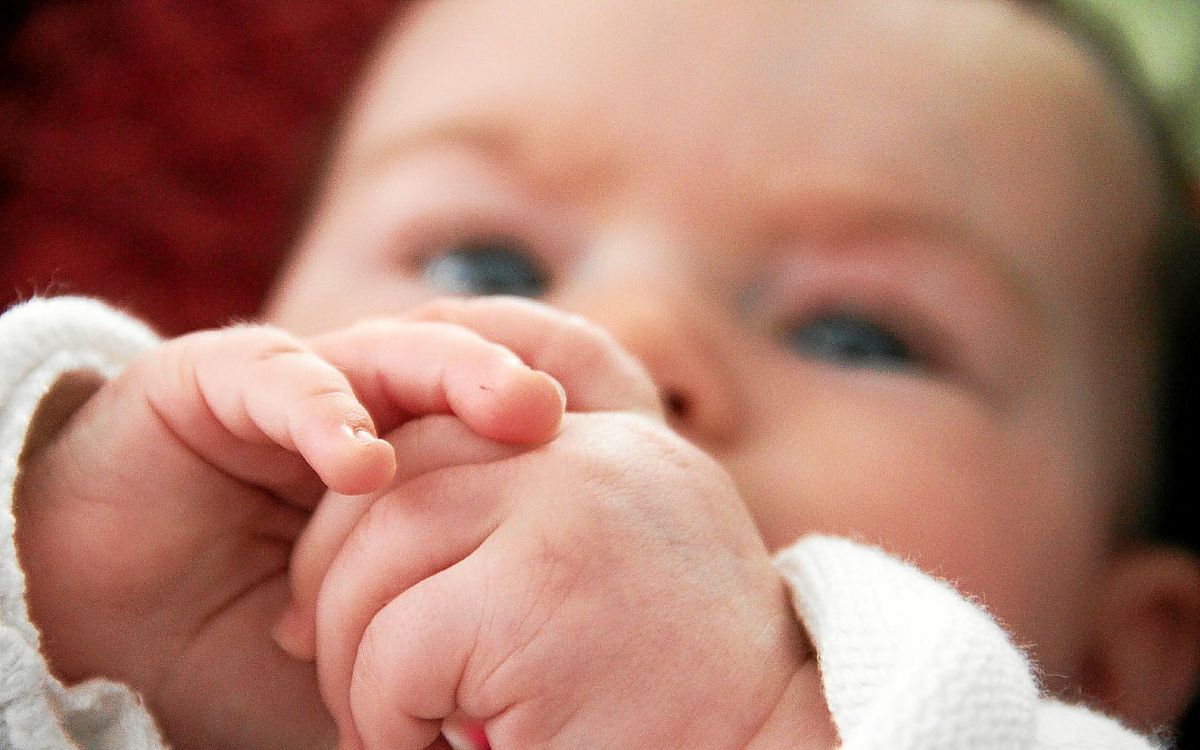 Naissances à Brest selon l'état civil