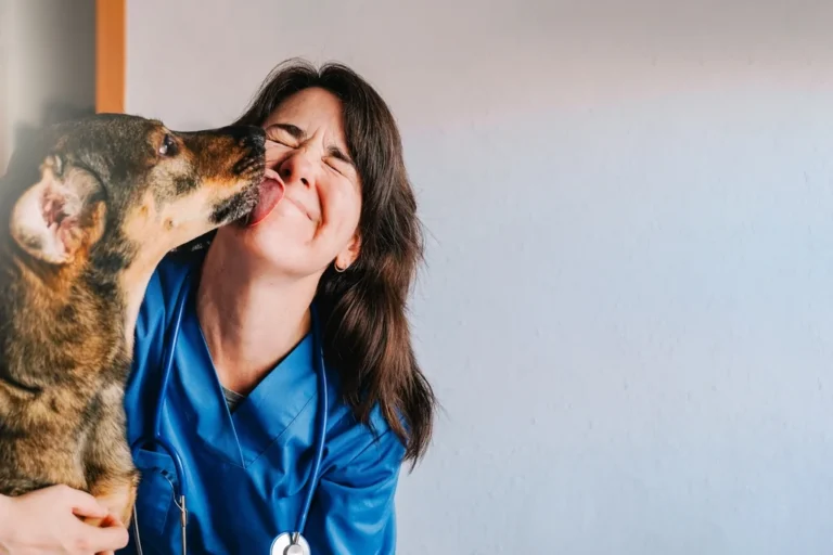 Chiens détectent la maladie de Parkinson sur la peau avec 98 % de précision