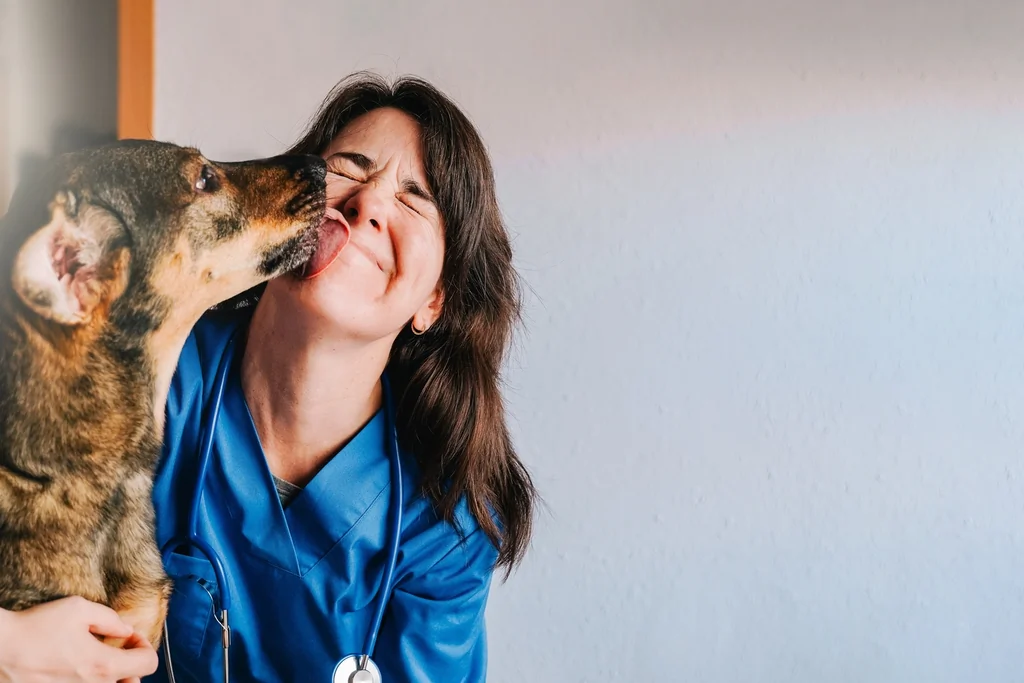 Chiens détectent la maladie de Parkinson sur la peau avec 98 % de précision
