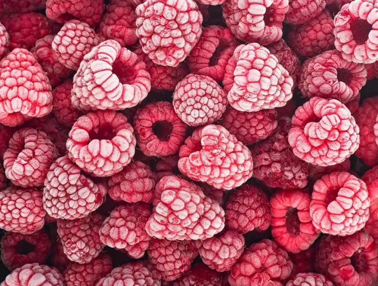 Comment congeler des framboises sans les abîmer ?