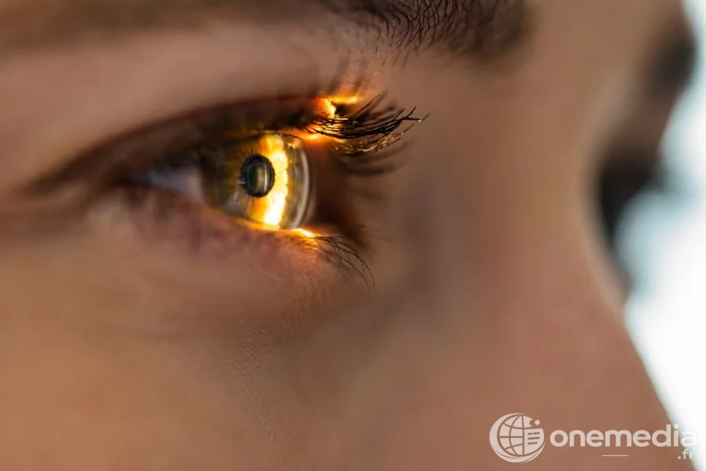Les yeux, miroir de notre santé cardiovasculaire et du vieillissement