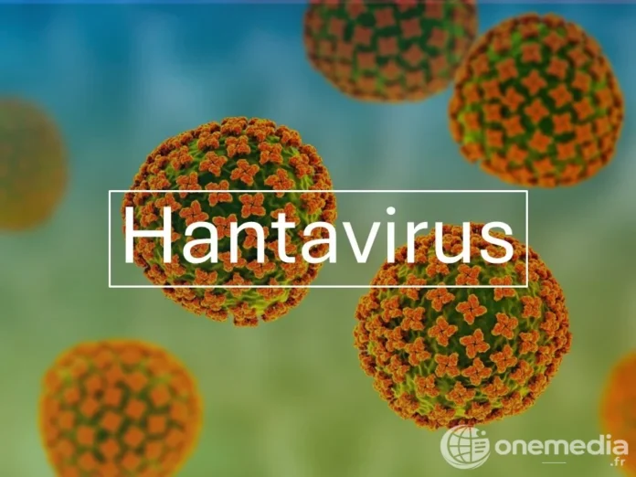 Hantavirus : pourquoi la France applique un protocole proche de la méningite pour les cas contacts