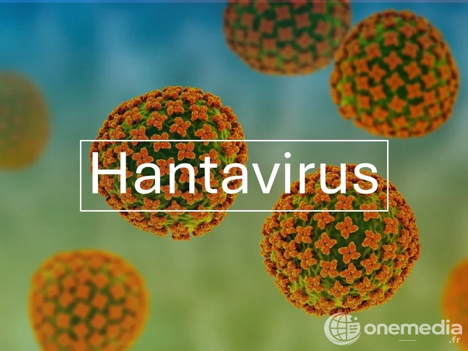 Hantavirus : pourquoi la France applique un protocole proche de la méningite pour les cas contacts