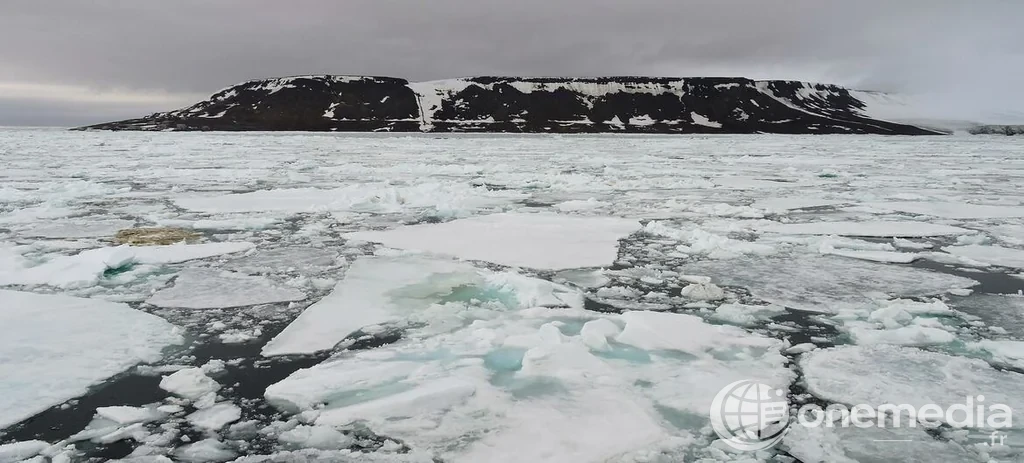 Paysage arctique du Groenland avec icebergs flottants, illustration du rechauffement climatique