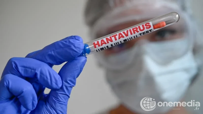 Test de dépistage du hantavirus en laboratoire