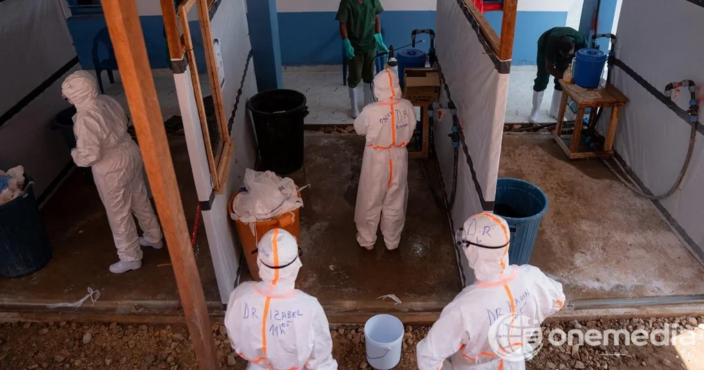 Premier cas de virus Ebola identifié en France, chez un médecin de retour de RDC
