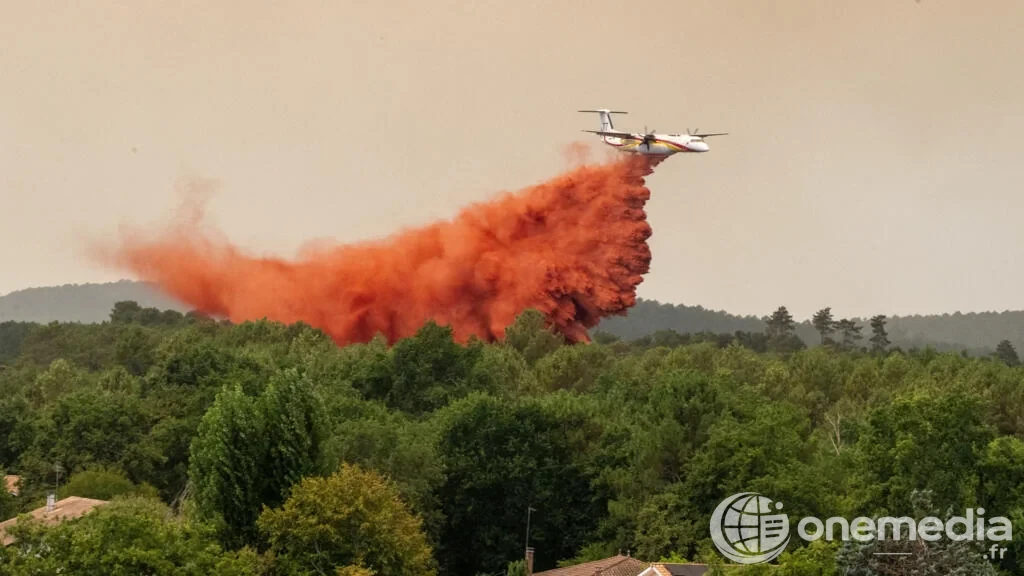 Flammes près de Lège-Cap-Ferret lors de l’incendie en Gironde