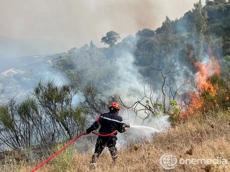 Un pompier arrose une végétation en feu sur une colline tandis que de la fumée s’élève parmi les arbres.