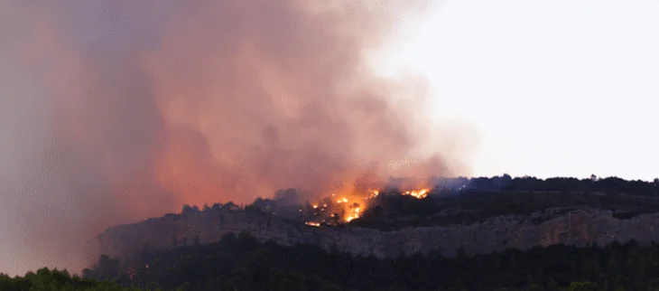 Feu de végétation et épaisse fumée au-dessus d'une zone boisée