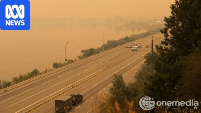 Une route traverse un paysage envahi par une fumée orange