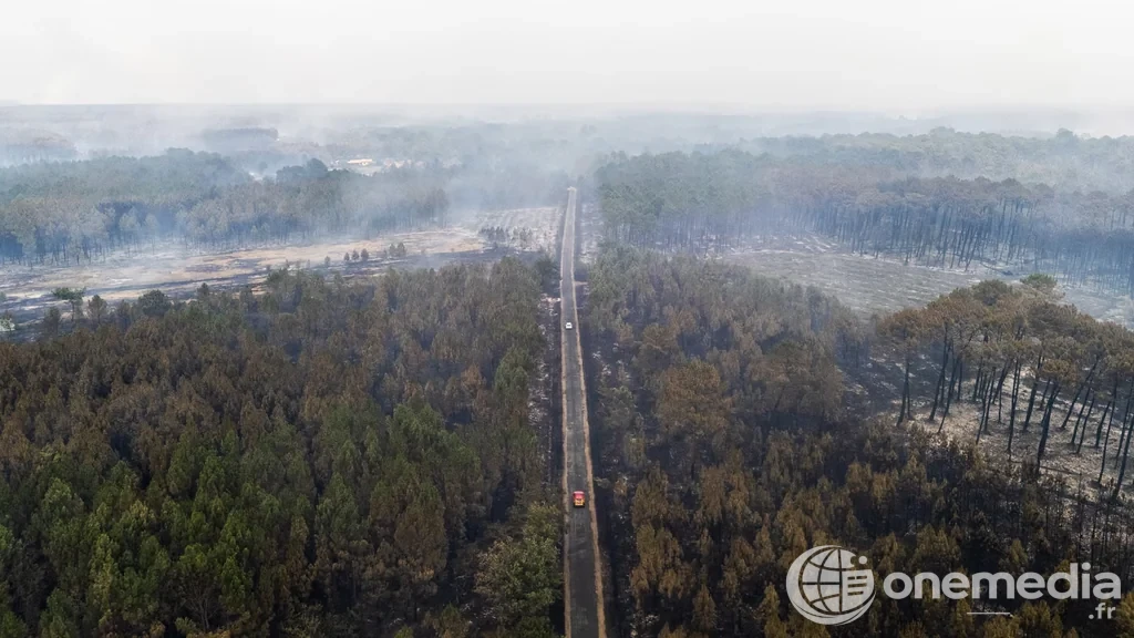 Vue aérienne d'une zone forestière brûlée près du Porge après l'incendie en Gironde