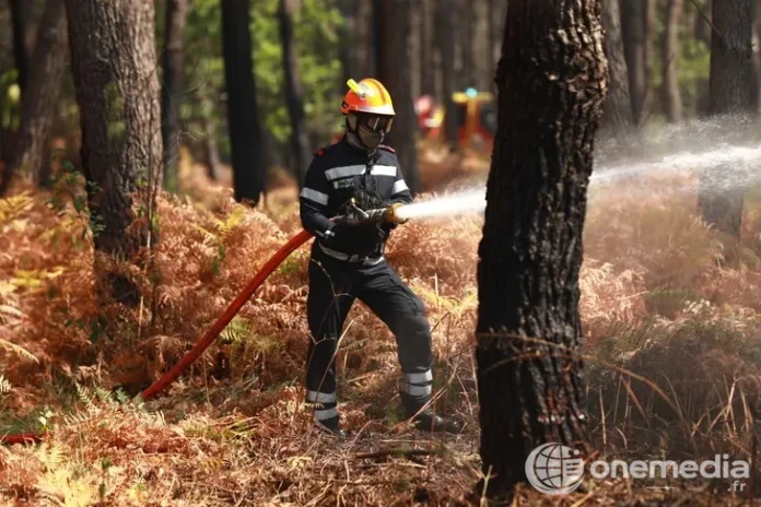 Un pompier combat un feu de forêt