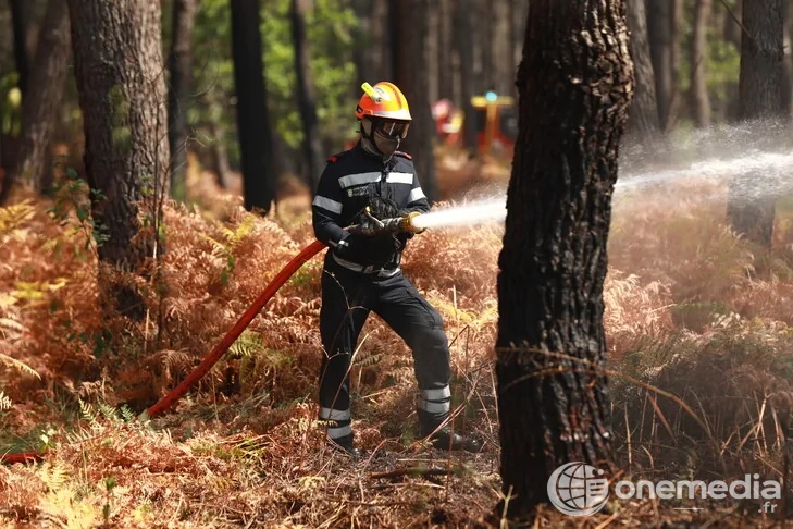 Un pompier combat un feu de forêt