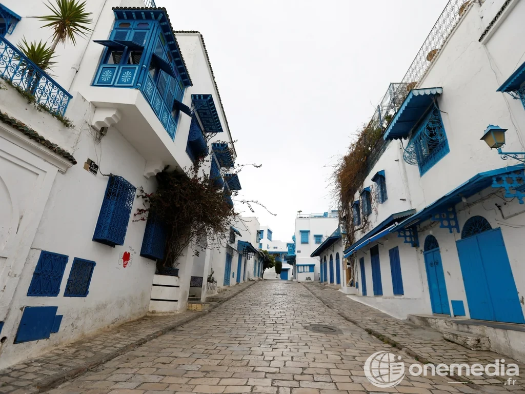 Rue pavée de Sidi Bou Saïd entre des maisons blanches aux volets et balcons bleus