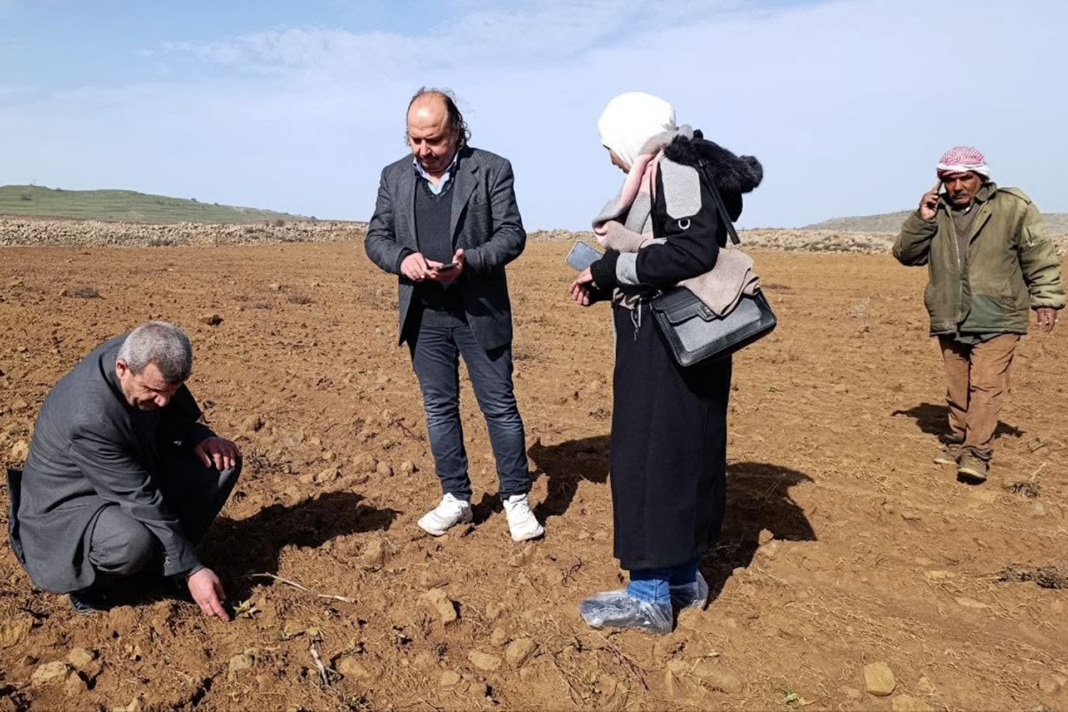 Personnes examinant le sol d’un champ à Quneitra, dans le sud de la Syrie.