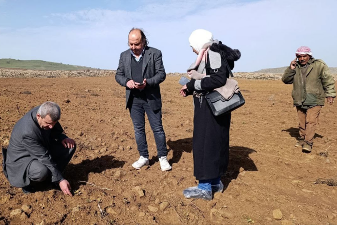 Personnes examinant le sol d’un champ à Quneitra, dans le sud de la Syrie.