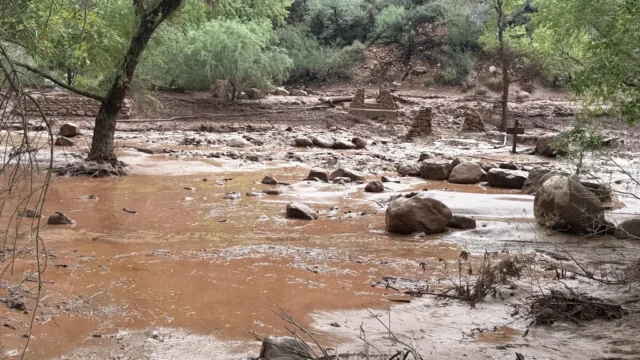 Eau boueuse et débris dans Bright Angel Creek après la crue éclair du Grand Canyon