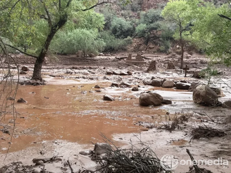 Eau boueuse et débris dans Bright Angel Creek après la crue éclair du Grand Canyon